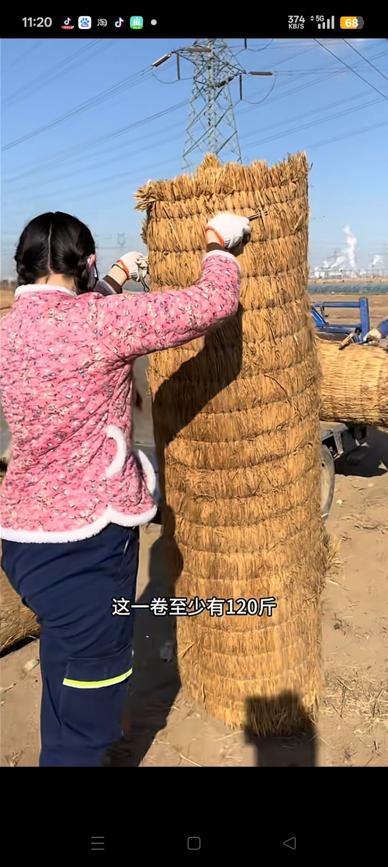 稻草苫