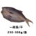 马友鱼一夜埕/干250-300g/条