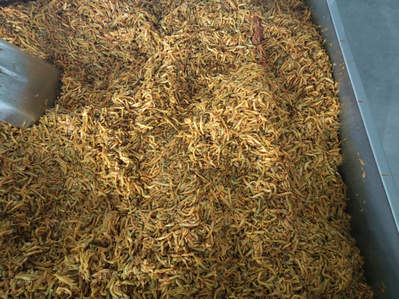 重庆涪陵榨菜丝榨菜芯下饭菜