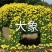 菊花造型