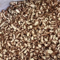 【野生知母片】中药材现货批发供应知母片量大从优