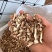 【野生知母片】中药材现货批发供应知母片量大从优
