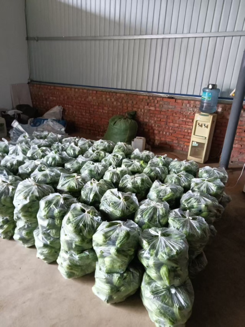 佛手瓜【产品优势】均为产地一手货源，配套设施齐全，提供人