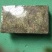 贵州天然水苔产地发货一手货源质量好厂家直销