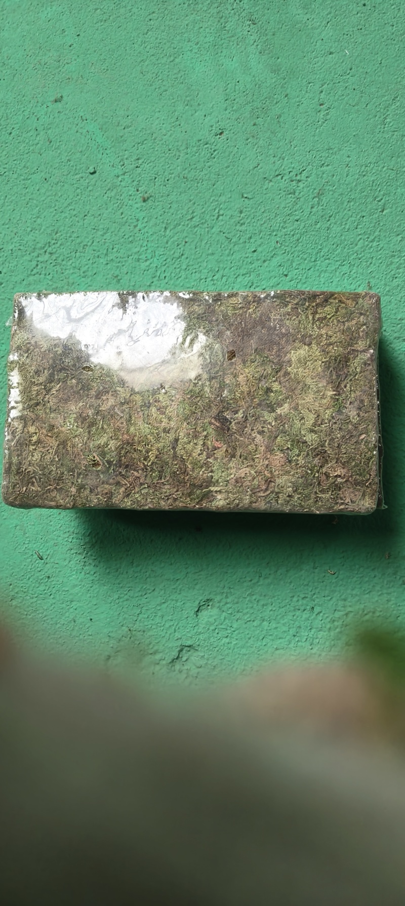 贵州天然水苔产地发货一手货源质量好厂家直销