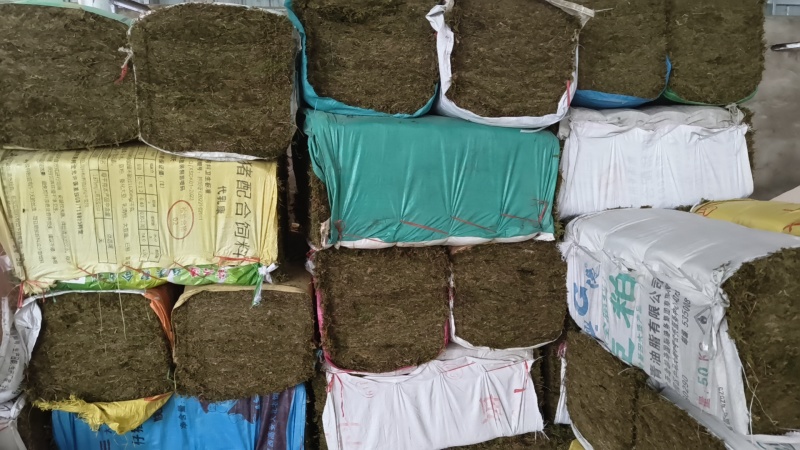 压块水苔青苔源头厂家一手货源品质好价格优惠欢迎订制