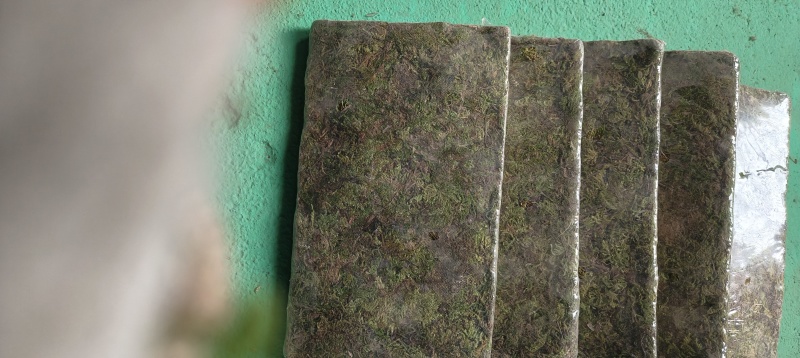 压块水苔青苔源头厂家一手货源品质好价格优惠欢迎订制