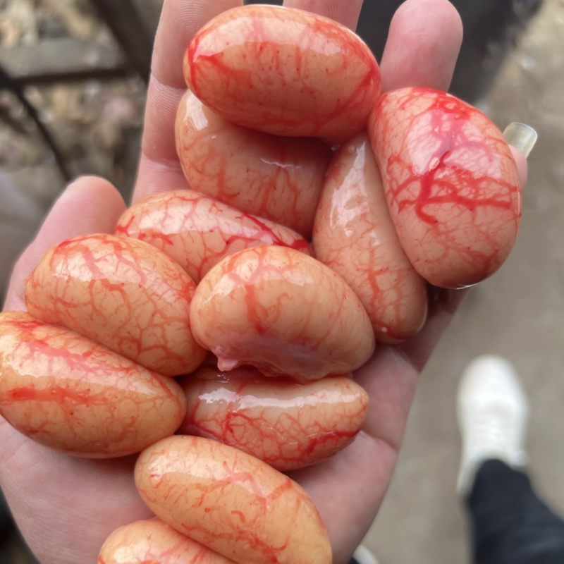 原装新鲜鸡腰子