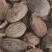 同奎中药材商行草果量大从优批发各种大料香料
