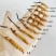 原产地新鲜冬虫夏草