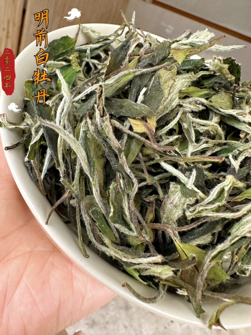 福鼎白茶白牡丹