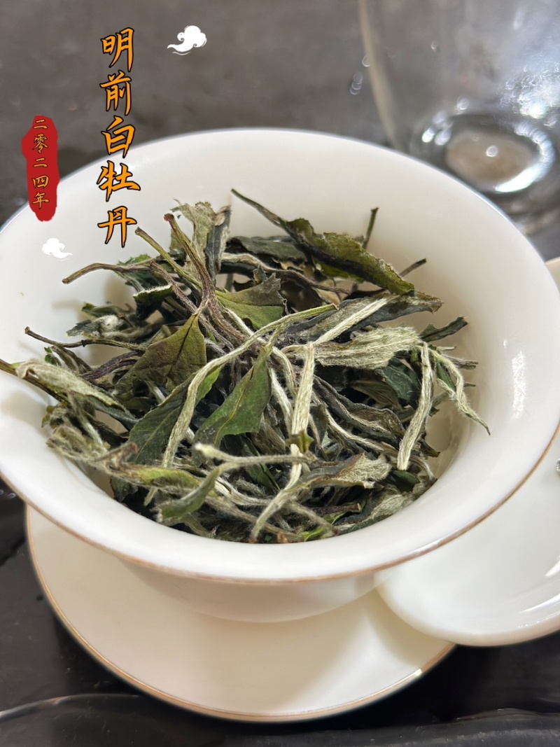 福鼎白茶白牡丹