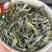 福鼎白茶白牡丹