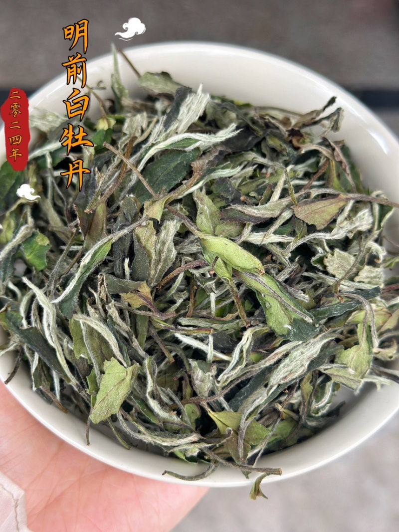 福鼎白茶白牡丹
