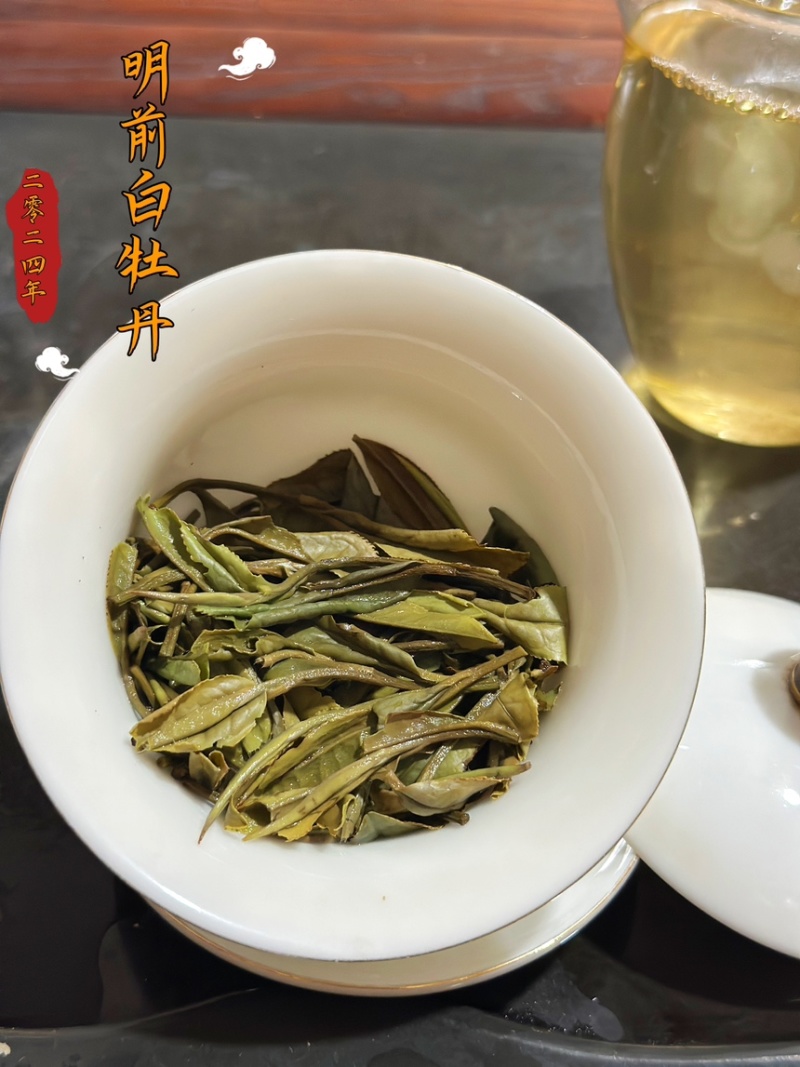 福鼎白茶白牡丹
