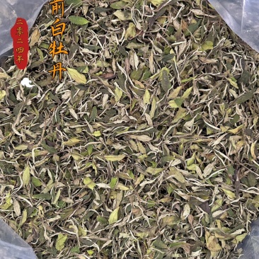 福鼎白茶白牡丹