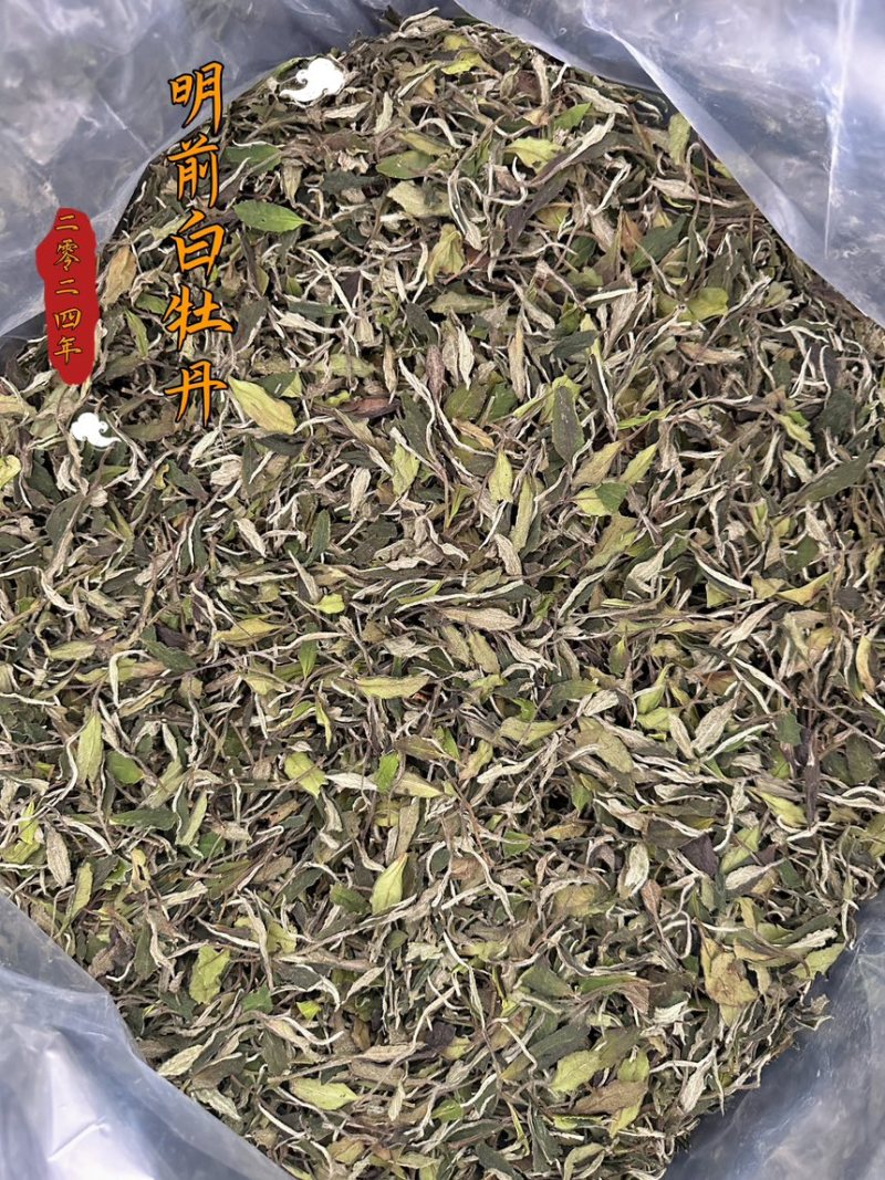 福鼎白茶白牡丹
