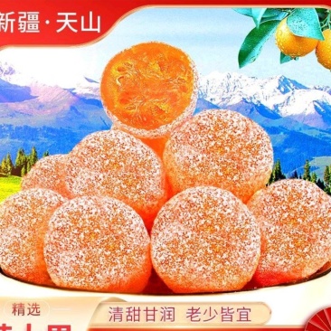 正宗冰糖金桔干新疆天山雪桔干老人爱吃干果清凉果脯干蜜