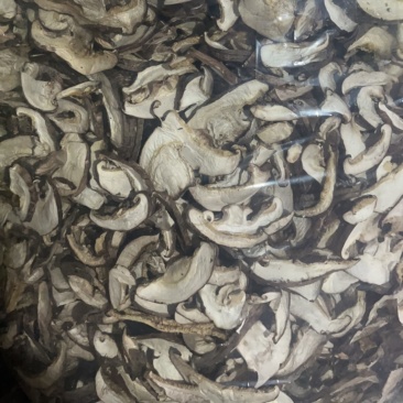 优质香菇菇丝，大量批发，现货基地直发，黄焖鸡，饭店可用