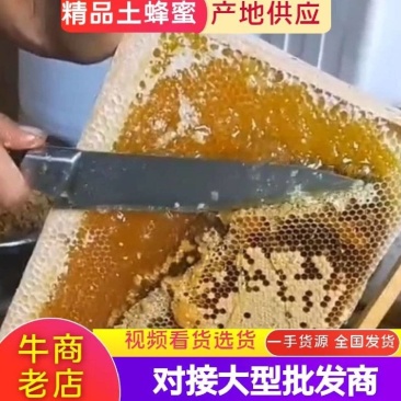 推荐农家土蜂蜜野蜂蜜，保证***蜂农直销欢迎采购