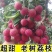 【顺丰包邮】新鲜荔枝白糖罂黑叶荔应季水果鲜荔枝净重1-4