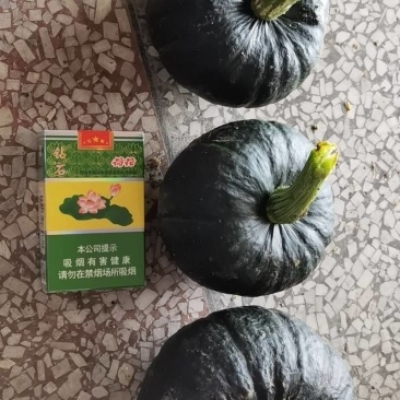 贝贝南瓜