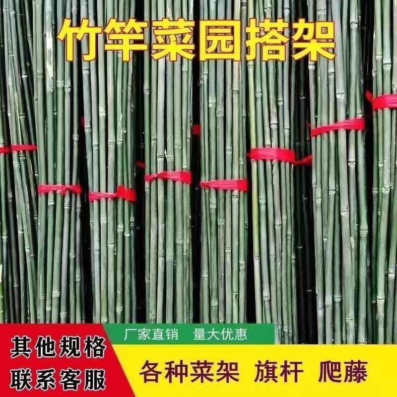 竹杆子竹子杆搭架菜园葡萄豆角黄瓜架杆花园栅栏篱笆爬藤花支