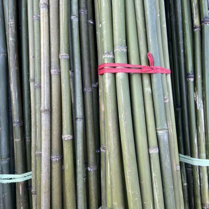 竹杆子竹子杆搭架菜园葡萄豆角黄瓜架杆花园栅栏篱笆爬藤花支