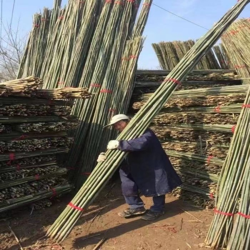 竹杆子竹子杆搭架菜园葡萄豆角黄瓜架杆花园栅栏篱笆爬藤花支