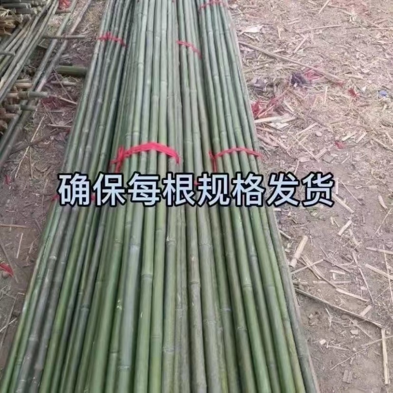 竹杆子竹子杆搭架菜园葡萄豆角黄瓜架杆花园栅栏篱笆爬藤花支