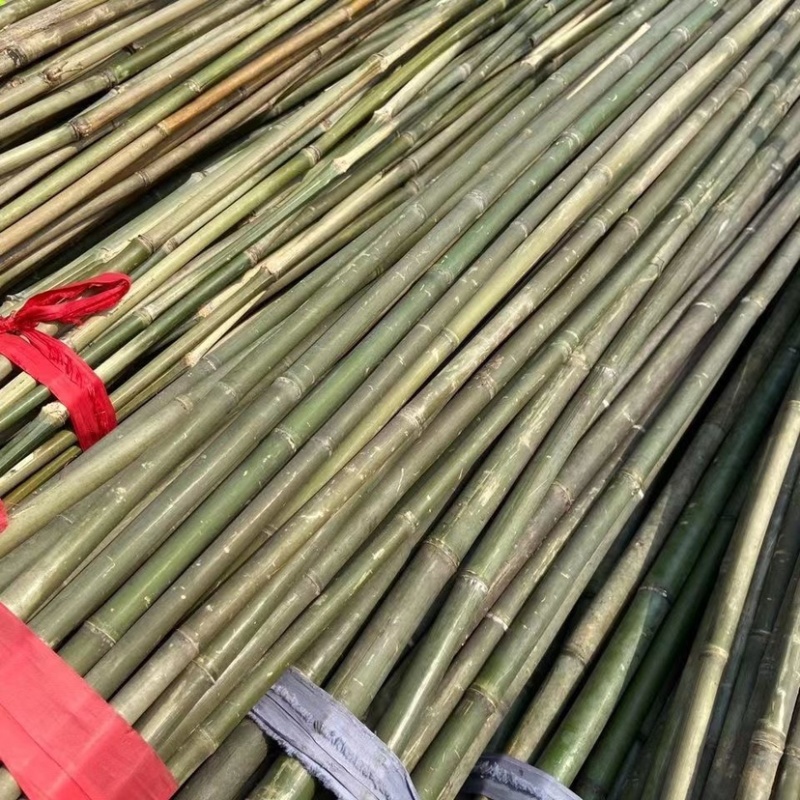 竹杆子竹子杆搭架菜园葡萄豆角黄瓜架杆花园栅栏篱笆爬藤花支