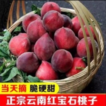 云南红宝石水蜜桃电商全平台一件代发