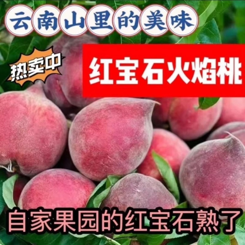 云南红宝石水蜜桃电商全平台一件代发