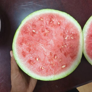 精品台农西瓜
