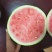 精品台农西瓜