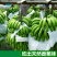 广西坛洛香蕉