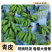 广西坛洛香蕉
