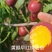 代办山东露天油桃未来星9602麻点黄肉油桃