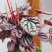 带花苞红宝石红美人皱叶椒草盆栽绿植物玉美人室内耐阴红叶植物