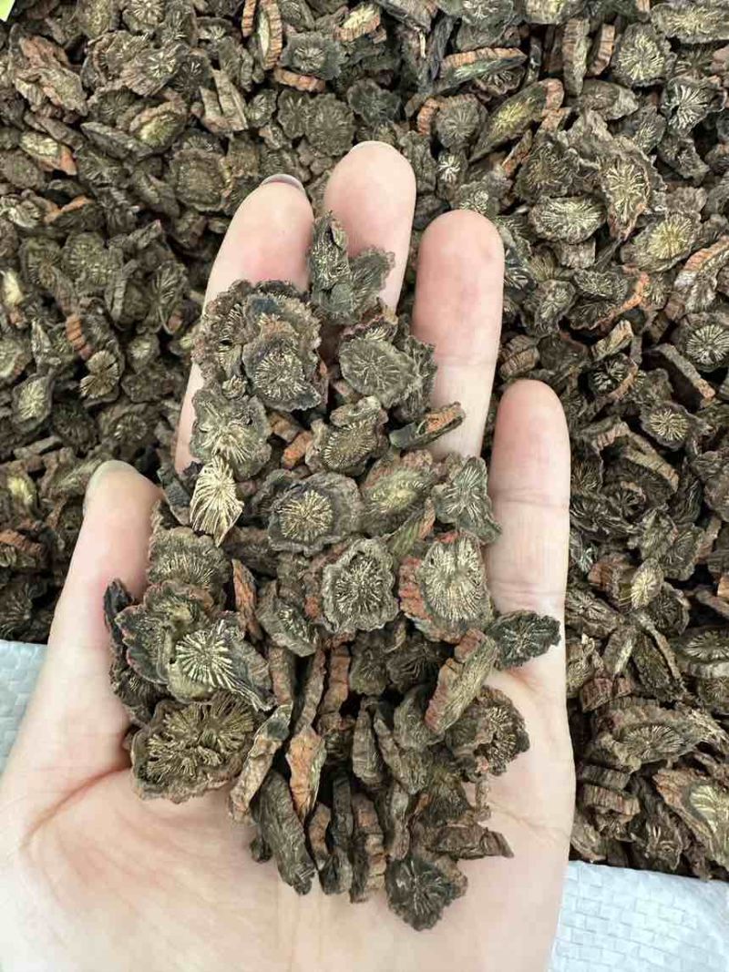 【发汗丹参】长期供货稳定·随时可聊·值得信赖