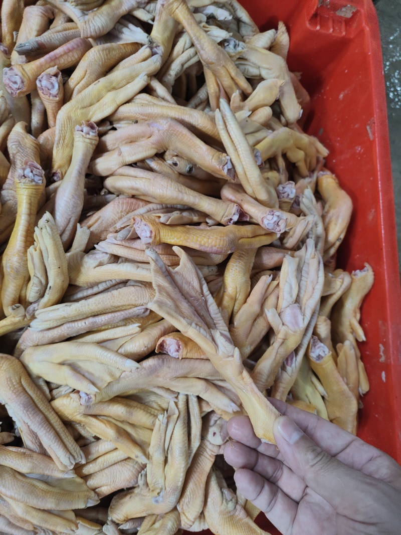 烧烤**大个黄皮鸭掌