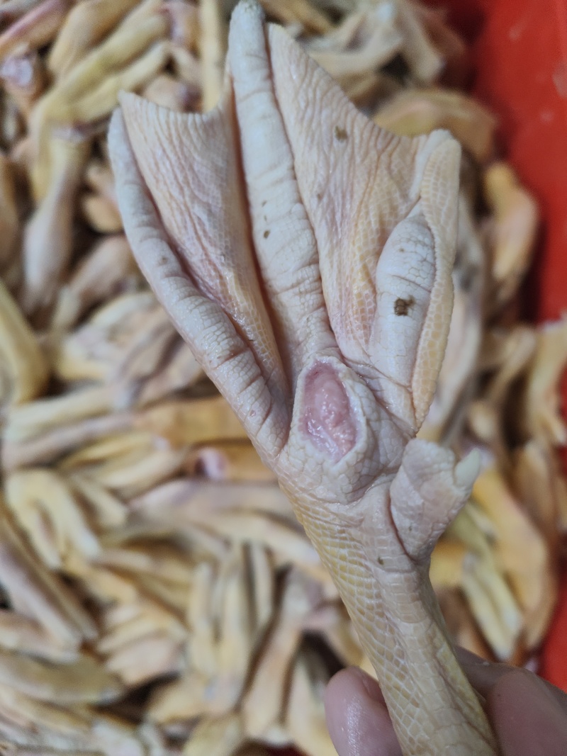 烧烤**大个黄皮鸭掌
