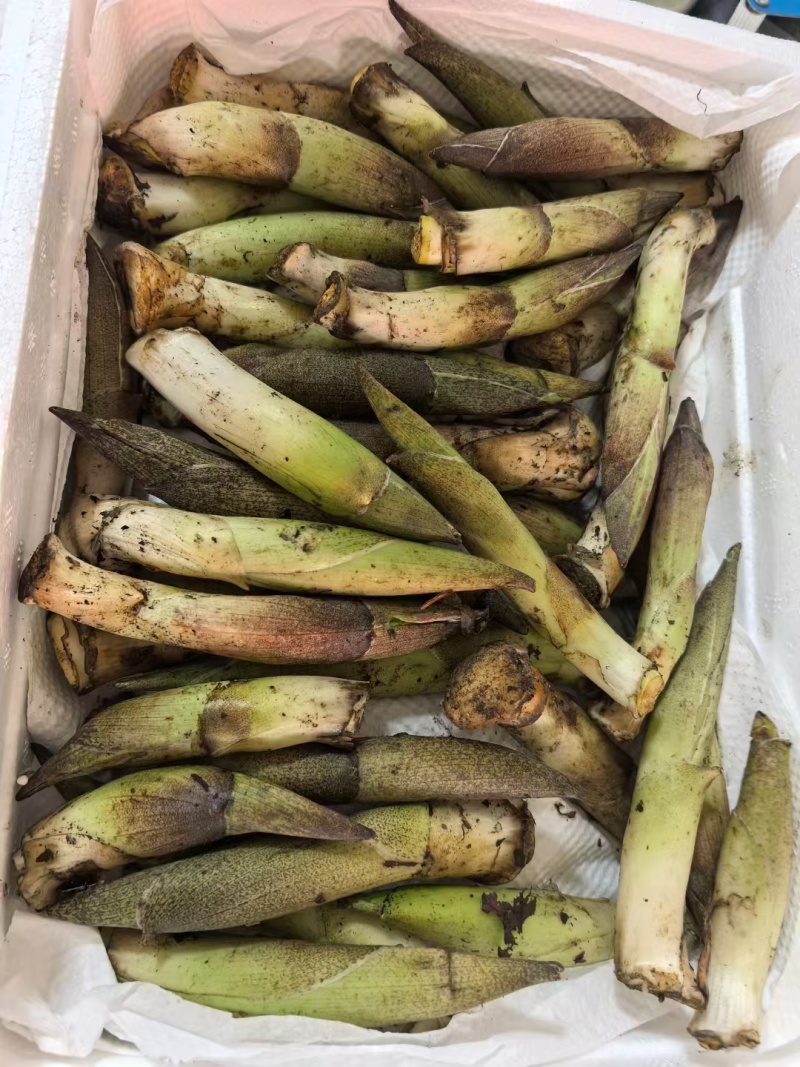 竹叶菜