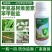 园施美青虫专用杀虫剂