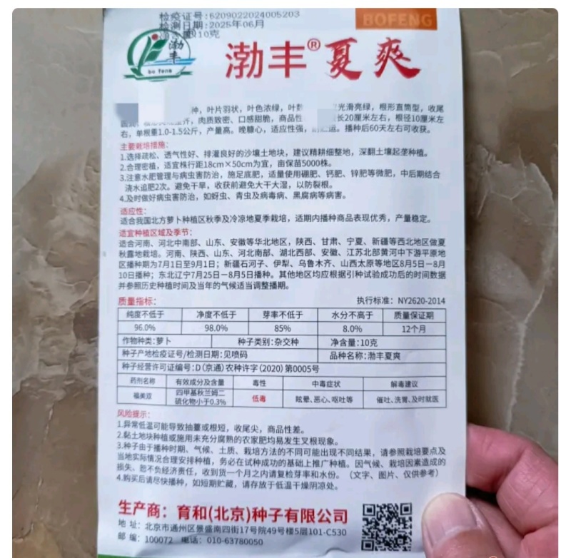 渤丰夏爽萝卜种子表皮光滑亮绿直筒圆润口感甜脆秋播杂交萝卜