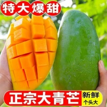 芒果～一件代发～云南大青芒金煌芒～对接各大电商平台