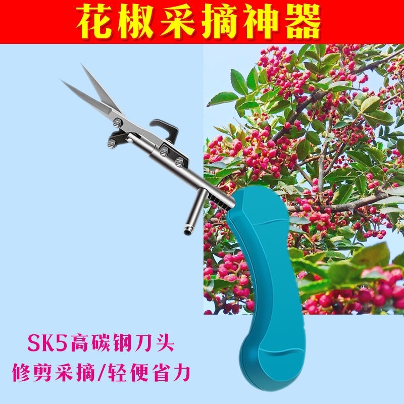 修枝剪花椒枸杞采摘神器尖头采果剪新款专用工具葡萄枝剪