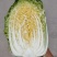 宁夏沙地黄心白菜
