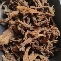 金银花羊金花曼陀罗花