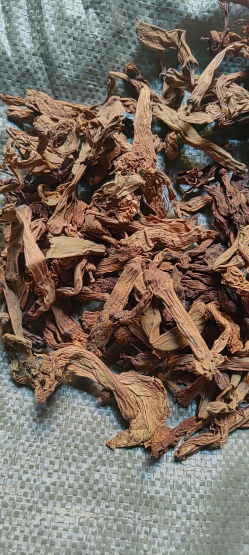 金银花羊金花曼陀罗花